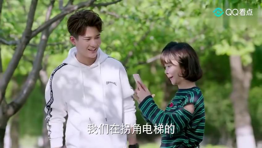 卑鄙的小妖精